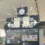 일본 나고야 여행, 나고야역에서 주부공항까지 뮤스카이 이동 및 면세점