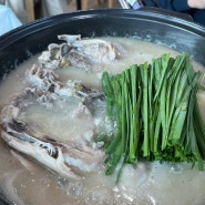 양양 맛집 쏠비치맛집 '가평리 토종닭' 누룽지 백숙