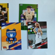 23-24 KBL 농구카드 KOVO 배구카드 각 10팩 오픈 후기