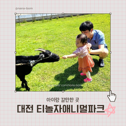 [대전 티놀자애니멀파크] 대전 아기랑 갈만한 곳 작은동물원...