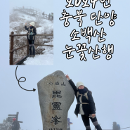 [충북 단양] 2024 소백산 겨울 눈꽃산행 부산출발 산악회 (최단코스,2월 날씨, 옷차림 정보)