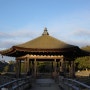 [여행] 일본 나라 나라시, 나라공원-우키미도-사루사와이케(奈良公園-浮見堂-猿沢池) 아침 산보 소경