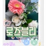 초록색 꽃다발 대전 꽃집 로즈블리