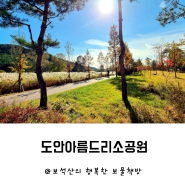 대전 도안 아름드리소공원ㅣ아이들과 산책하기 너무 좋은 곳