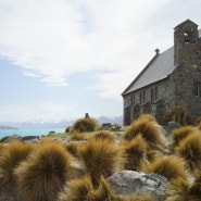 [Day 9] 뉴질랜드 테카포 호수, 선한 목자 교회, 크라이스트처치 양털공장, 기념품, 조기유학, 추억여행