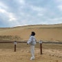 태안 여행 ‘신두리 해안사구’ 국내 최대 사구, 사막같은 모래언덕 꼭 가볼만한 곳
