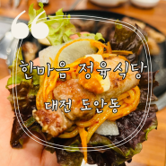 [대전 도안동] 대전고기맛집 완전 추천! 한마음정육식당
