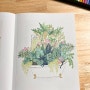 재밌는 취미생활 컬러링북 색칠하기/초록담쟁이의 아름다운 날들 사계절 컬러링북
