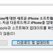 애플 아이폰 아이폰11프로맥스 ios17.3.1 업데이트 떴다