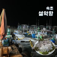 속초 설악항 활어회회센터 오복호 잡어회 대포동 부둣가 데이트