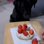 '24.2.10 Hami Garage TV - Making a dog cake. / 펫푸드 케이크 만들기.