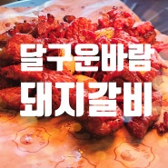 동탄2 영천동 달구운바람 돼지갈비 맛집 아이들과 재방문 후기