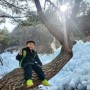 대구 겨울 축제, 비슬산 자연휴양림 얼음동산축제 : 주차장