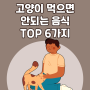 고양이 먹으면 안되는 음식 TOP 6가지