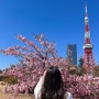 [일본] 인간 파파고와 함께 한 미쳐버린 도쿄 여행 #2