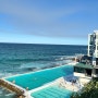 Day 8. 케미스트 웨어하우스, Bondi Beach(본다이비치), Bondi icebergs pool(본다이 아이스버그 수영장), Don Pedros Bondi(돈 페드로스)
