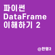 [파이썬] 데이터프레임(DataFrame)의 이해 2