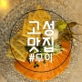 속초 고성 일식당 일본식선술집 이자카야 추천/ 천진 "무이"