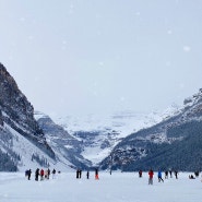 캐나다 인생 여행지, 밴프 국립공원 록키투어 한번에 비교하기