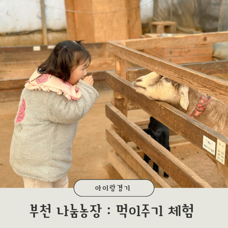 부천 나눔농장 동물 먹이주기 체험 경기도 아이랑 실내 갈만한 곳