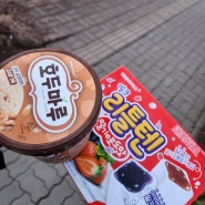 ' 이한치한 ' 추울땐 아이스크림~ (호두마루, 리틀텐)