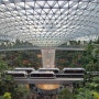싱가포르 여행 (5-1) 창이 공항 쥬얼, 커다란 식물원 중심에 웅장한 폭포 물이 쏟아진다