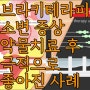 브라키테라피 후 소변 불편 - 약 먹고 극적으로 좋아진 사례