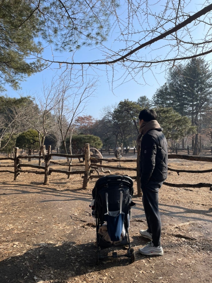 남이섬 여행 (호텔 정관루 후기)