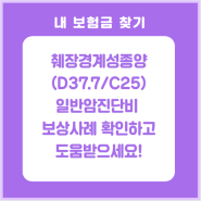 D37.7 췌장경계성종양 일반암 보상사례 확인부터 분쟁해결까지