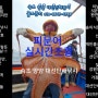 강원도 동해 강릉 고성 양양 속초 바다날씨 & 대왕문어낚시 채비