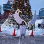 2024 삿포로 눈축제! 오도리공원 시계탑, 티비타워