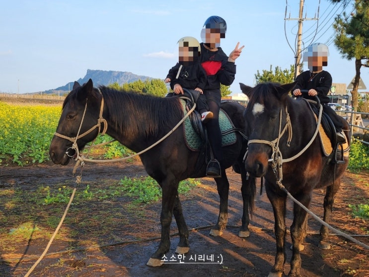 제주도 여행 / 2살 4살 아이와 함께 승마체험 - 졸띠 해변 승마