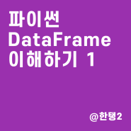 [파이썬] 데이터프레임(DataFrame)의 이해 1