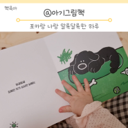 아기그림책 추천 영유아보드북 포카랑 나랑 알록달록한 하루