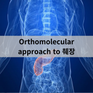 Orthomolecular approach to 췌장 - 신사터미널마취통증의학과, 인천터미널정형외