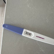 임밍아웃 임신4주차 아기집확인 임신초기증상
