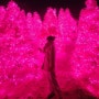포천 허브아일랜드 : 핑크모래 트리 포토존 데이트 2024 불빛동화축제