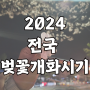 2024 한국 벚꽃 개화시기 전국 명소 한눈에 총정리