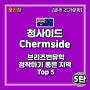 [브리즈번 조기유학] 한국인이 정착하기 좋은 지역 추천 top 5 - 첨사이드(Chermside)