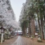 다카야마 여행 (10) 눈 펑펑 내리는 히에 신사
