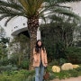 [서울식물원] 서울 실내데이트 추천 !! 따뜻한 서울 식물원으로 가요 💚 (관람시간 및 가격 안내)