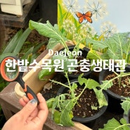 대전 아이와 가볼만한곳 실내코스 한밭수목원 곤충생태관&다육식물원