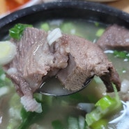 포항/북구/죽도동 장기식당(전국구 소머리국밥의 맛)