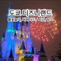 도쿄 디즈니랜드 불꽃놀이 야간 퍼레이드 시간, 위치