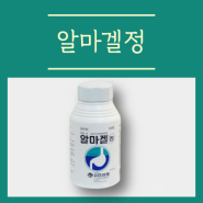 알마겔정 효능 부작용 복용법과 가격 알아봐요