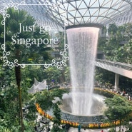 [친구 따라 싱가포르] 싱가포르 항공🛫 창이공항 주얼 🛬🌳