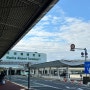 일본 도쿄 긴자역에서 나리타 공항으로 이동 - 1300엔 버스 타는 방법 (정류장 위치, 배차 시간표, 티켓 구매방법)