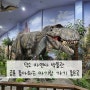 덕소 자연사 박물관: 31개월 아기랑 가볼 만한 곳, 공룡 좋아하는 아기랑 부담 없이 가기 좋은 곳, 염소 먹이도 줄 수 있음