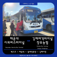 | 시외버스 | 해운대고속 "해운대/동래 ~ 김해/장유" 노선 정보