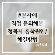 #본사에 직접 문의해본 젖꼭지 흡착 원인/흡착해결방법